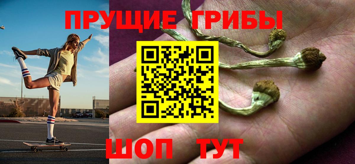 Галлюциногенные грибы прущие грибы Верхний Уфалей